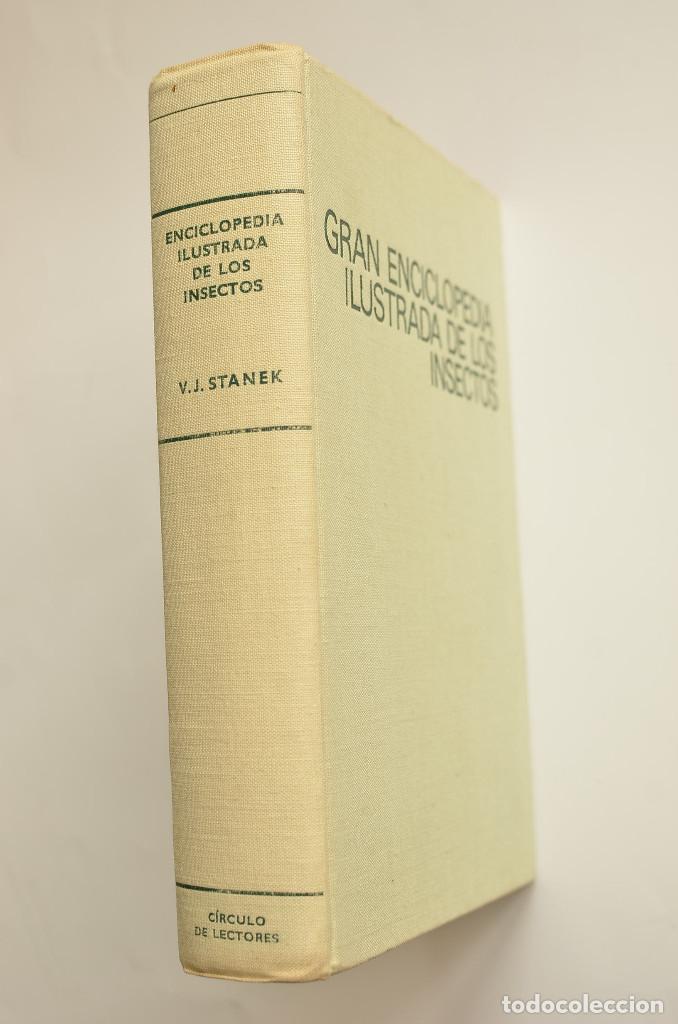 Libros: Gran enciclopedia ilustrada de los insectos - STANEK, V. J. - Foto 2