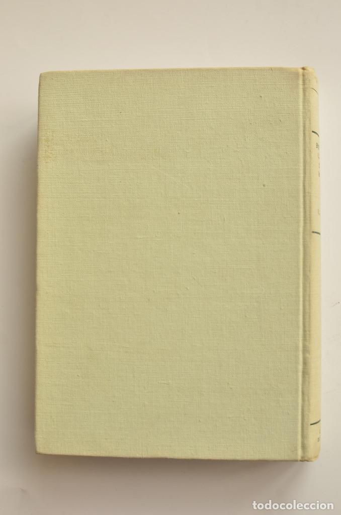 Libros: Gran enciclopedia ilustrada de los insectos - STANEK, V. J. - Foto 9