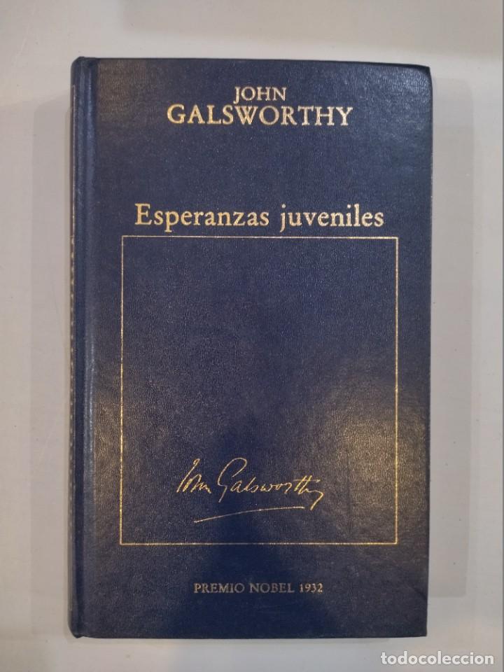 Libros: John Galsworthy - Esperanzas juveniles - Foto 1