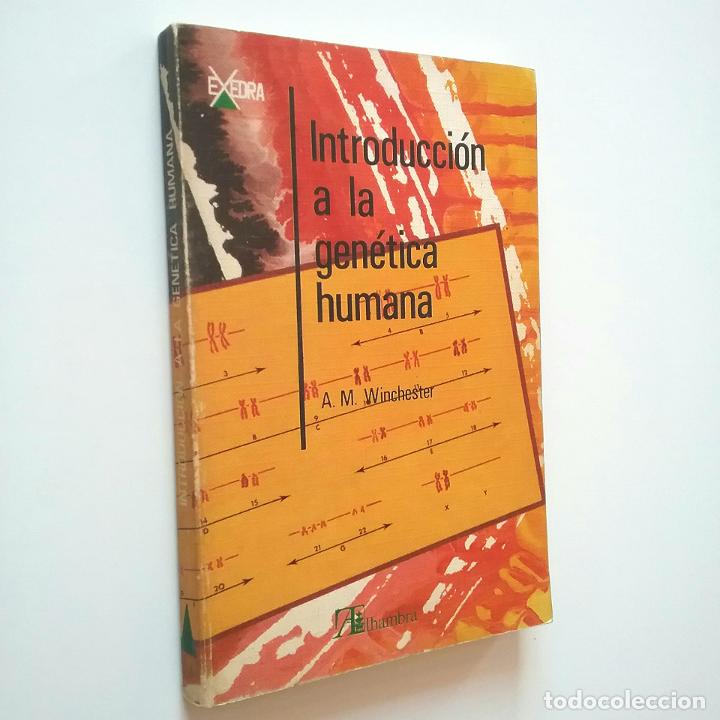 Libros: A. M. Winchester - Introducci&oacute;n a la gen&eacute;tica humana - Foto 1
