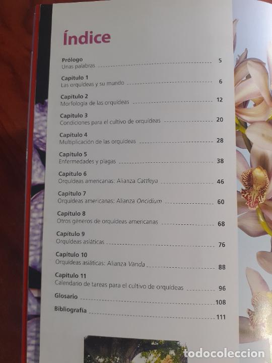 Libros: ORQUIDEAS � PLANTAS MEDICINALES - MARIA JULIA FREULER - Foto 3