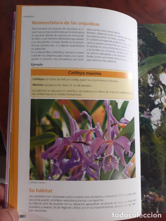 Libros: ORQUIDEAS � PLANTAS MEDICINALES - MARIA JULIA FREULER - Foto 5