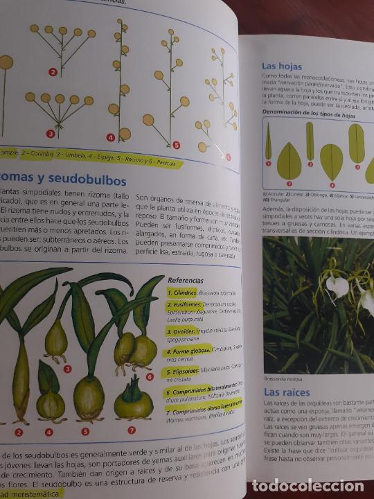 Libros: ORQUIDEAS � PLANTAS MEDICINALES - MARIA JULIA FREULER - Foto 6