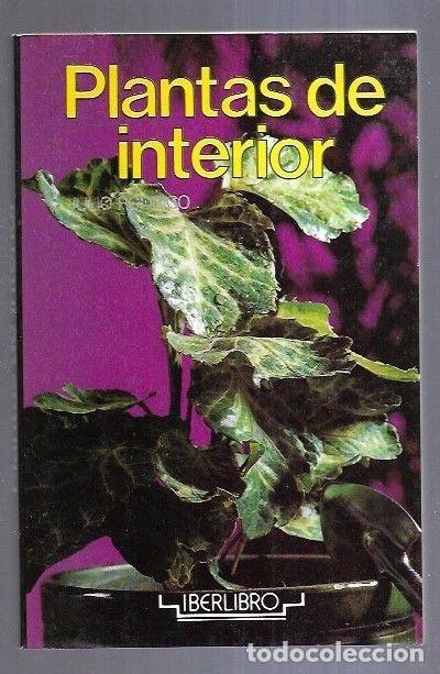 Libros: PLANTAS DE INTERIOR - RODRIGO, JULIO - Foto 1