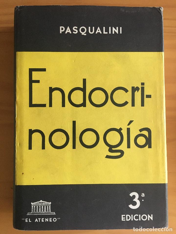 Libros: ENDOCRINOLOGIA (3&ordf; EDICION) - RODOLFO Q. PASQUALINI - Foto 1