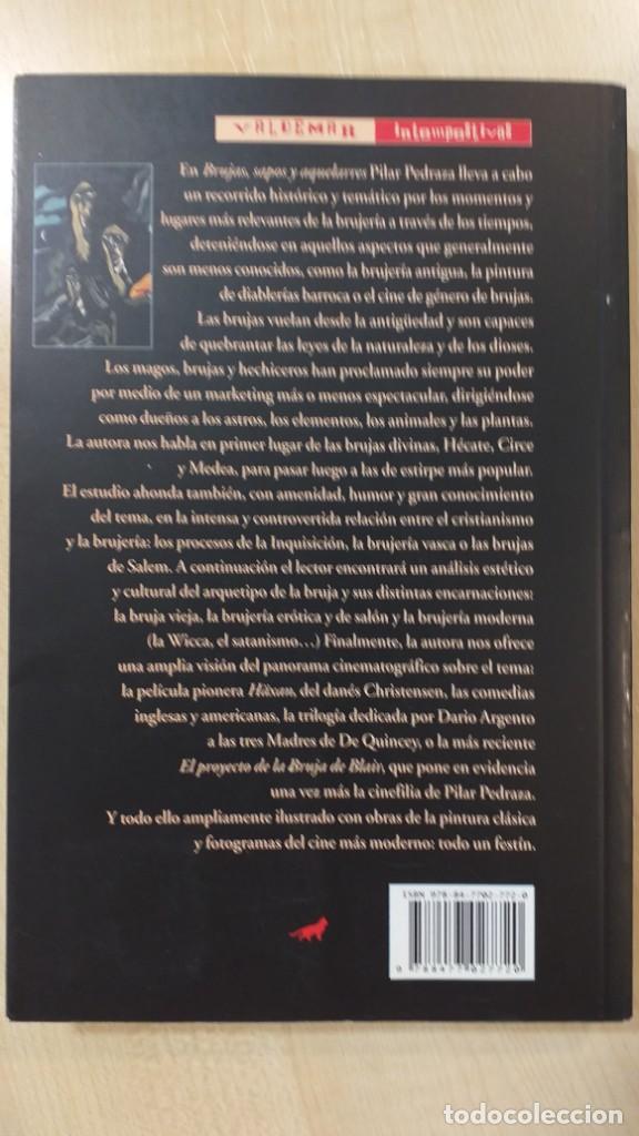Libros: PILAR PEDRAZA: BRUJAS, SAPOS Y AQUELARRES - Foto 3
