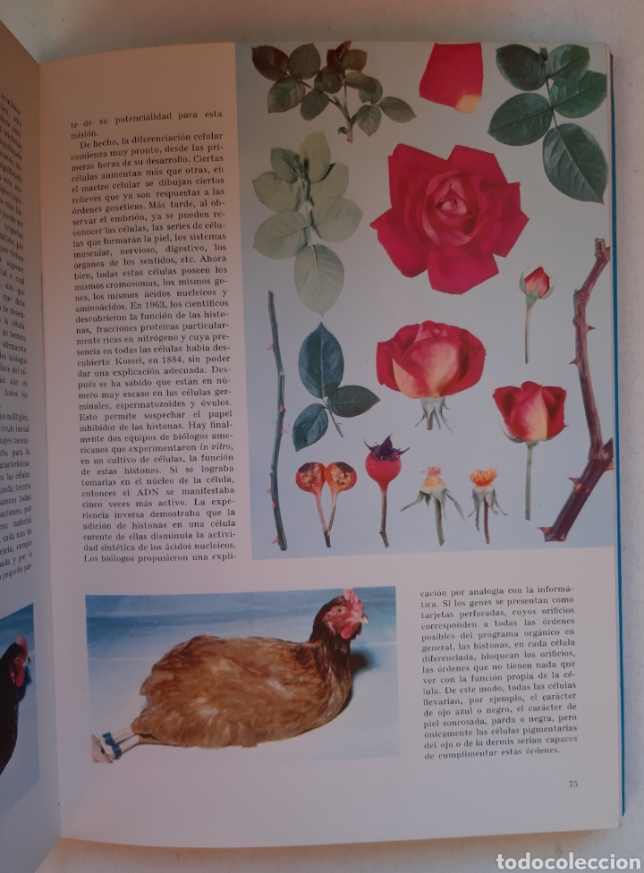 Libros: MARAVILLAS DE LA CIENCIA - Foto 3