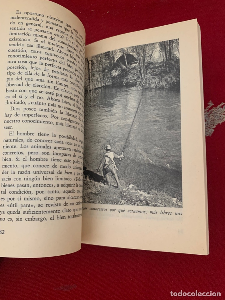 Libros: 48 Libros de la Biblioteca Cultural RTVE. - Foto 225