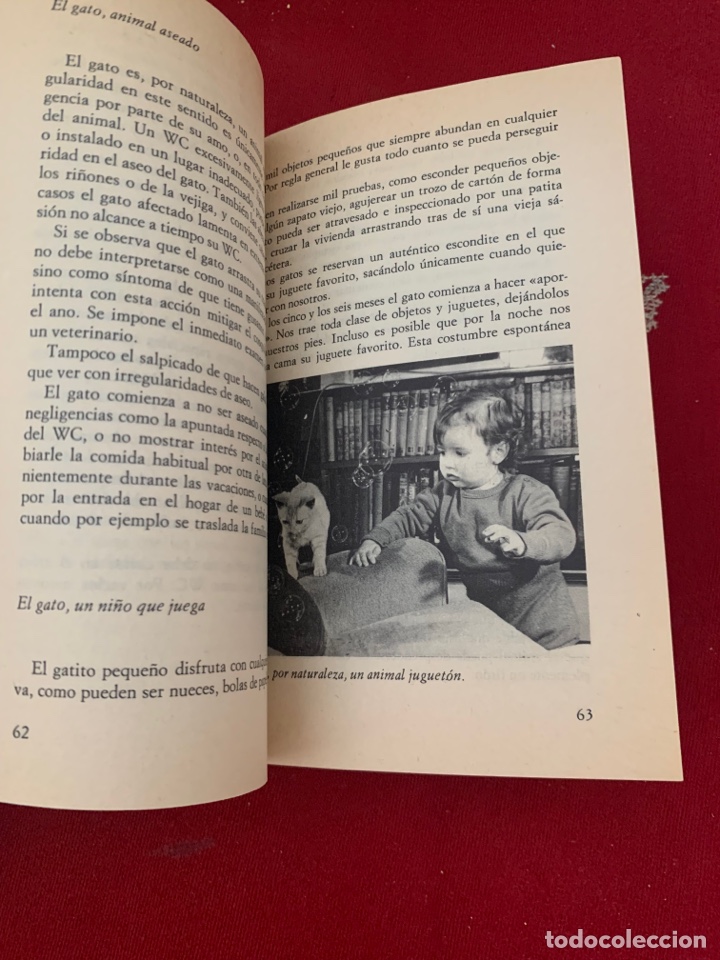 Libros: 48 Libros de la Biblioteca Cultural RTVE. - Foto 230