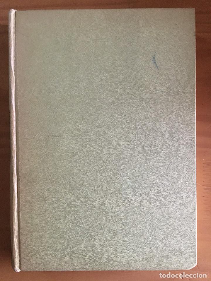 Libros: LA ECONOMIA COMPRENSIBLE - ERNST SAMHABER - Foto 1