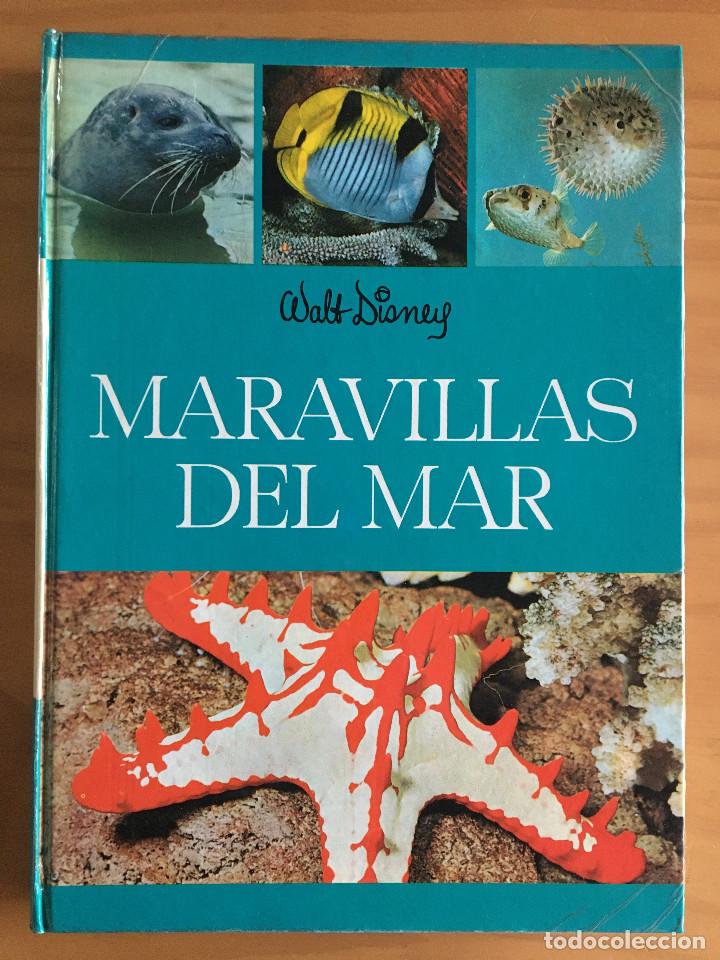 Libros: MARAVILLAS DEL MAR - WALT DISNEY - Foto 1