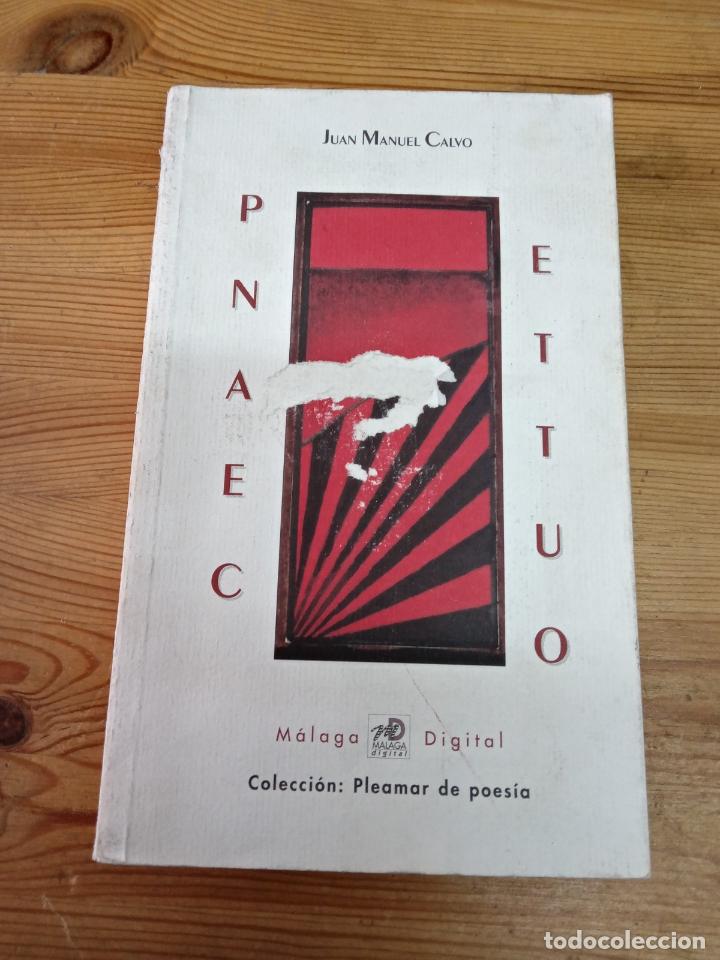 Libros: Juan Manuel Calvo - Pentateuco - Foto 1
