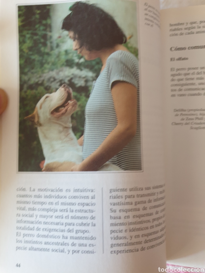 Libros: El Pitt bull. Guido de Rosa. Editorial de Vecchi. - Foto 3