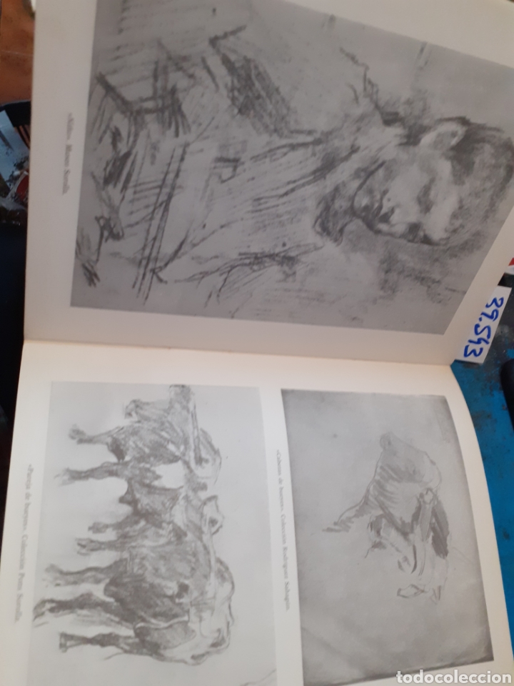 Libros: DIBUJOS DE JOAQUIN SOROLLA - AGUILERA CERNI,Vicente - Foto 3