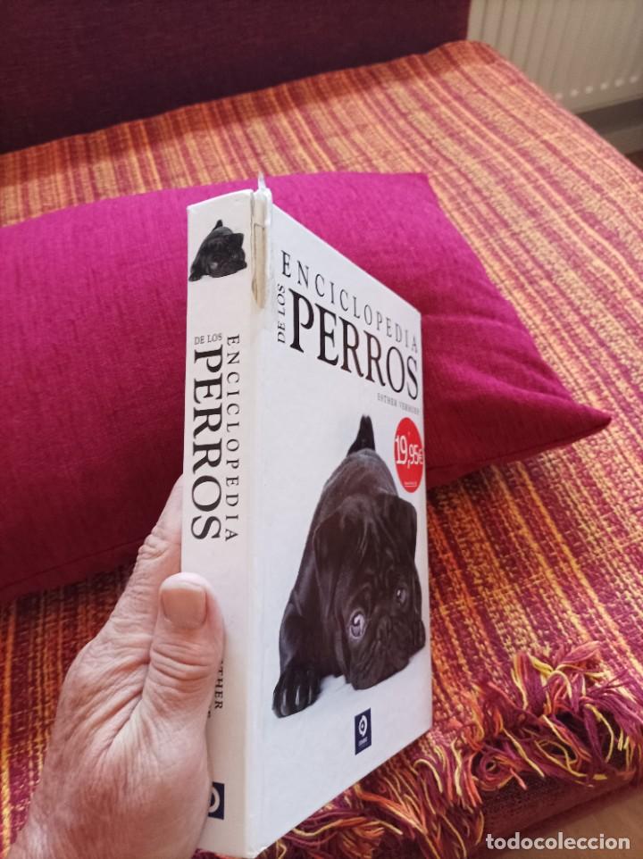 Libros: ENCICLOPEDIA DE LOS PERROS - Foto 2