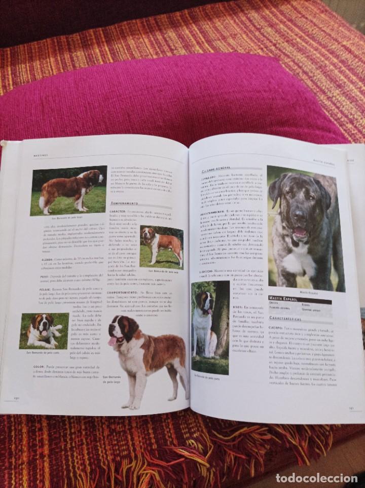 Libros: ENCICLOPEDIA DE LOS PERROS - Foto 4