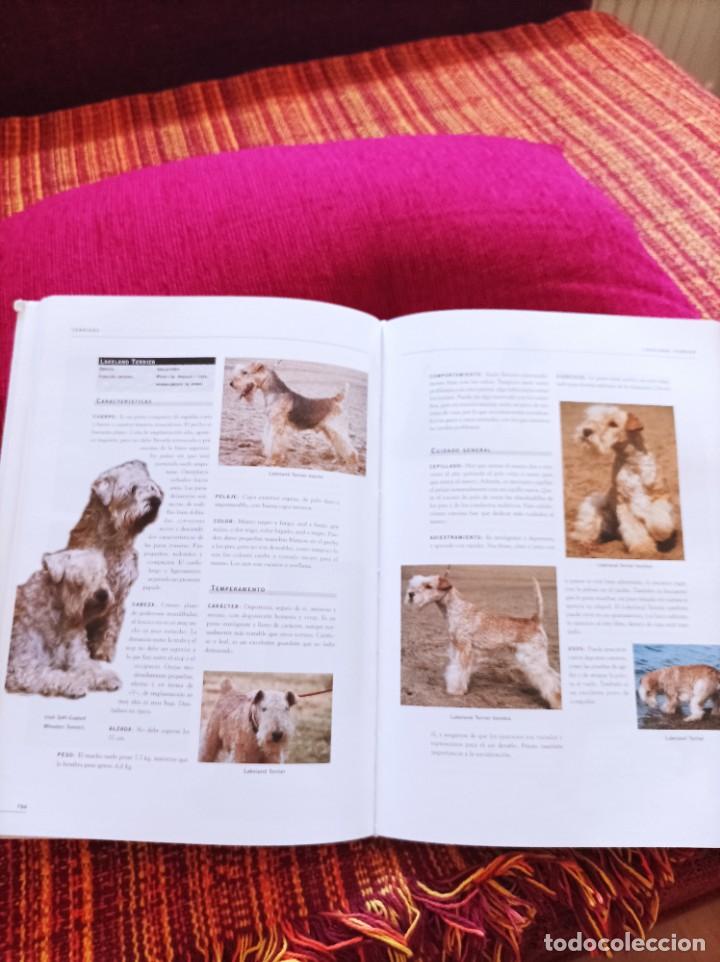 Libros: ENCICLOPEDIA DE LOS PERROS - Foto 5