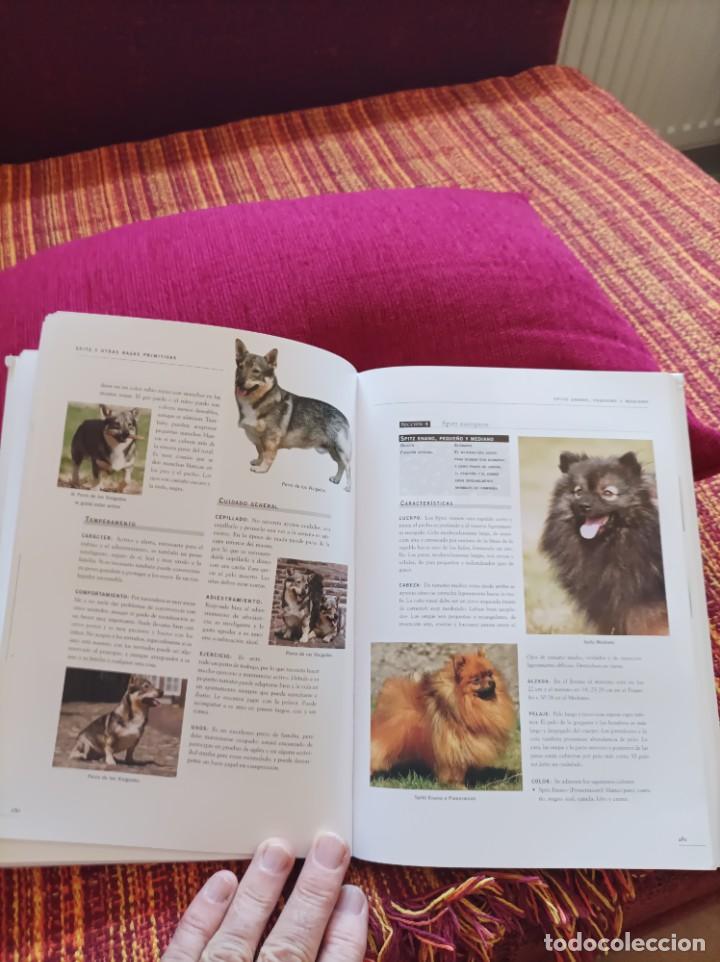 Libros: ENCICLOPEDIA DE LOS PERROS - Foto 6