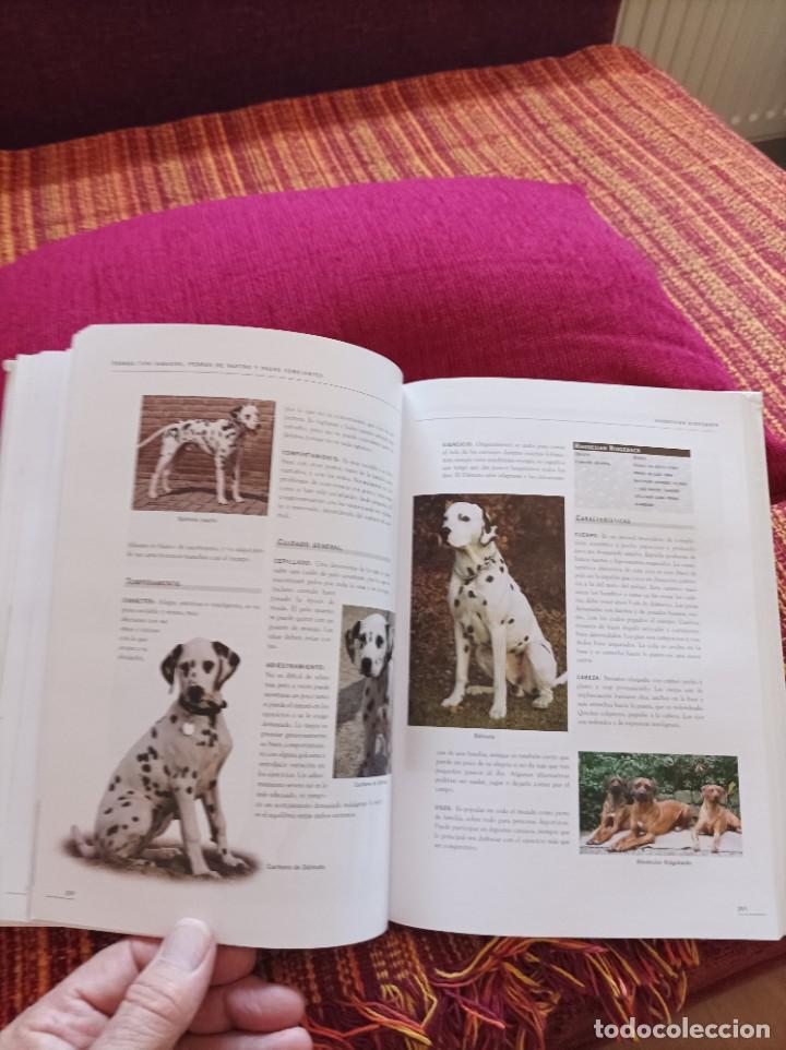 Libros: ENCICLOPEDIA DE LOS PERROS - Foto 7