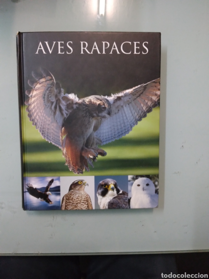 Libros: Aves rapaces,Parragon - Foto 1