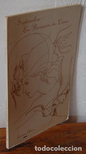 B&uuml;cher: SEPTIEMBRE EN FLORACI&Oacute;N DE LUNA - CARMEN CHIESA