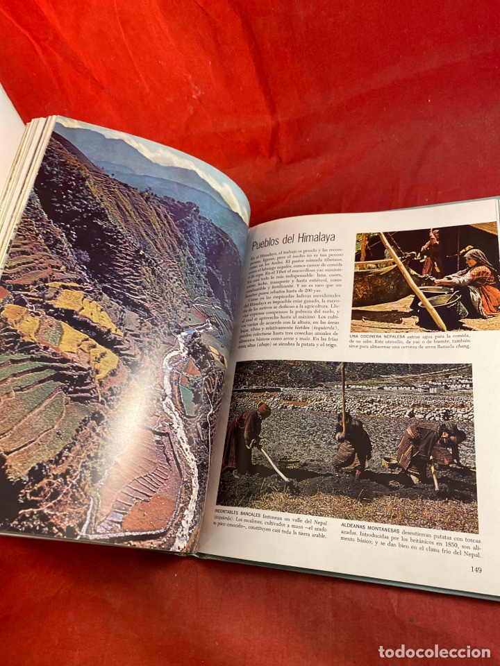 Libros: Las monta&ntilde;as - Foto 3