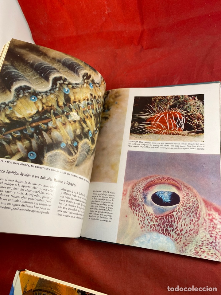 Libros: El mar - Foto 4