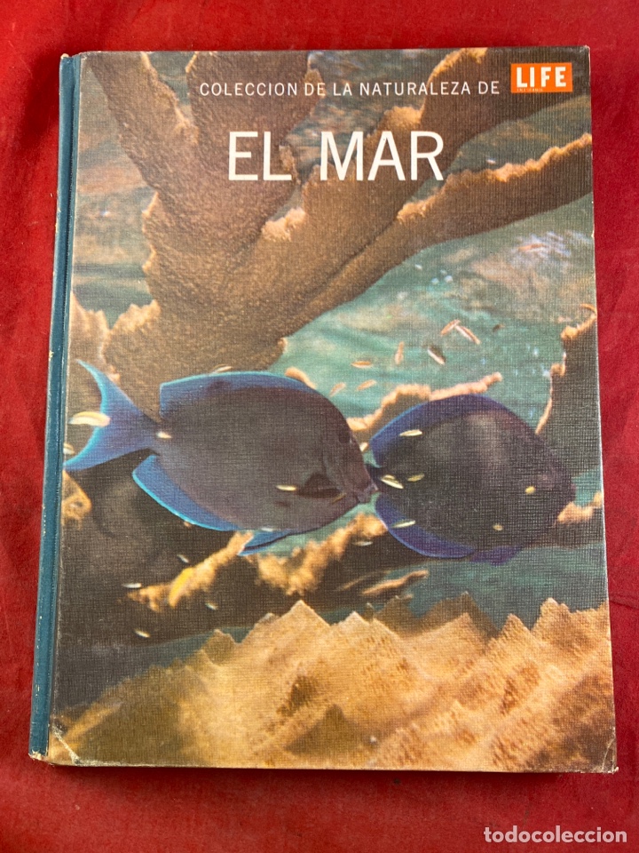 Libros: El mar - Foto 1