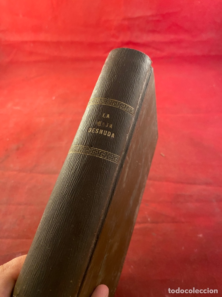 Libros: La maja desnuda - Foto 2