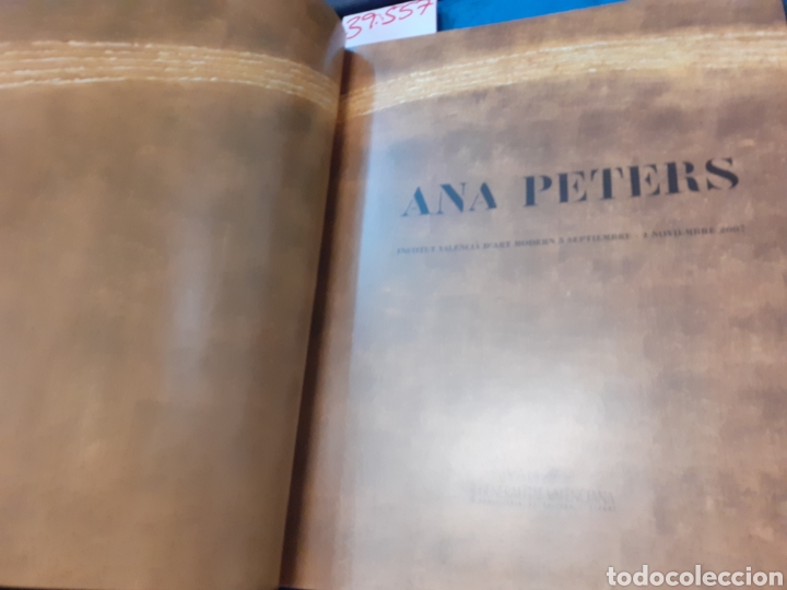 Libros: ANA PETERS. IVAM - CATALOGO - Foto 2
