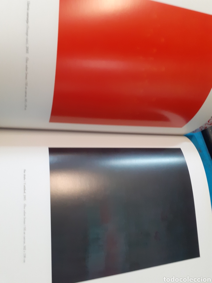 Libros: ANA PETERS. IVAM - CATALOGO - Foto 4