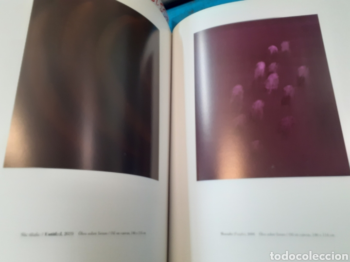 Libros: ANA PETERS. IVAM - CATALOGO - Foto 5