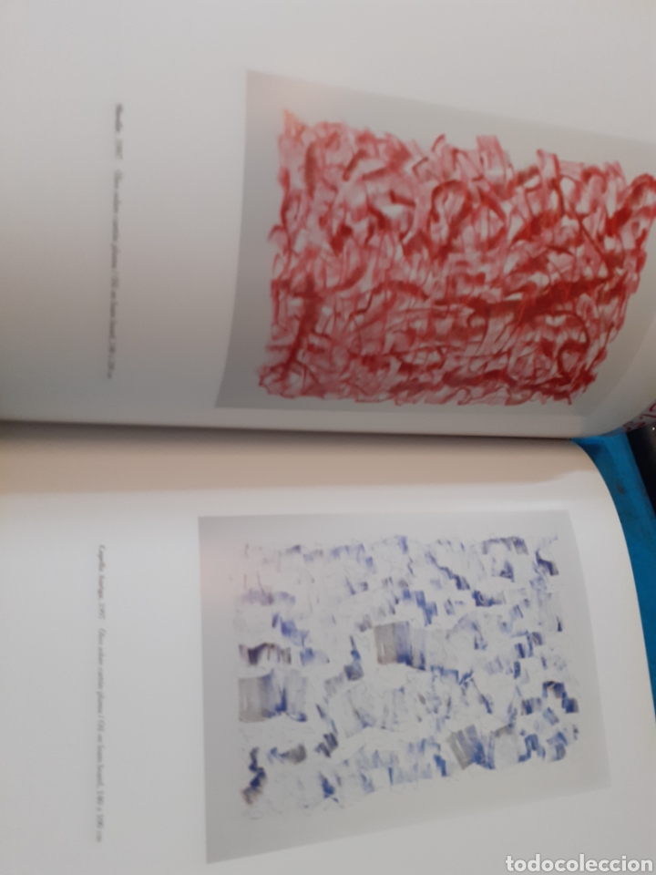Libros: ANA PETERS. IVAM - CATALOGO - Foto 6