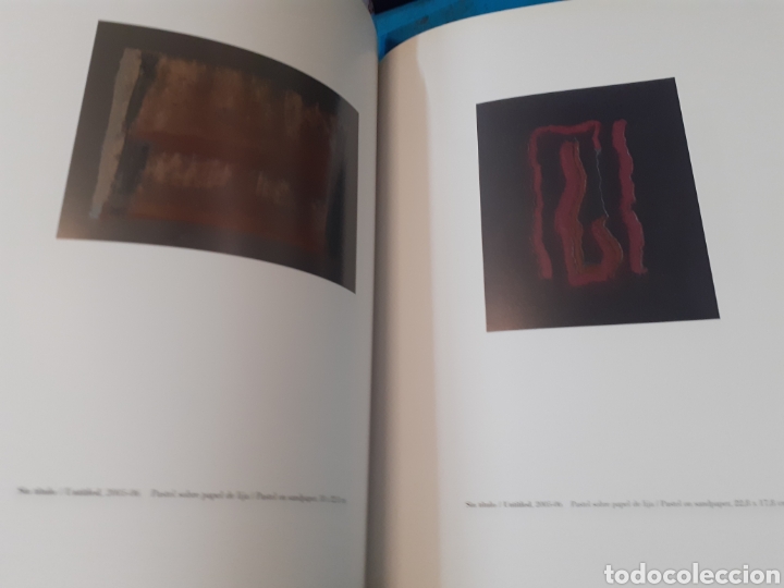 Libros: ANA PETERS. IVAM - CATALOGO - Foto 7