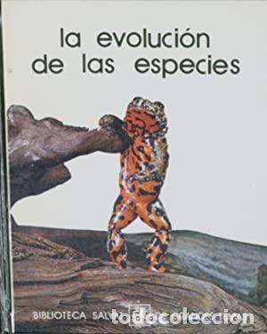 Libros: LA EVOLUCI&Oacute;N DE LAS ESPECIES - Lobo/Sperlich - Foto 1