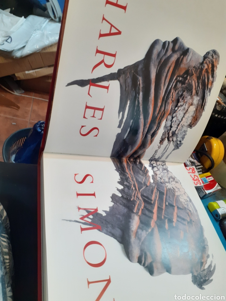Libros: CHARLES SIMONDS. IVAM - MILLET,Teresa (Comisario) - Foto 4