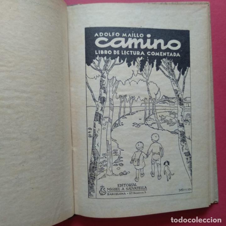 Libros: Camino. Libro de Lectura Comentada. - Maillo, Adolfo. - Foto 2