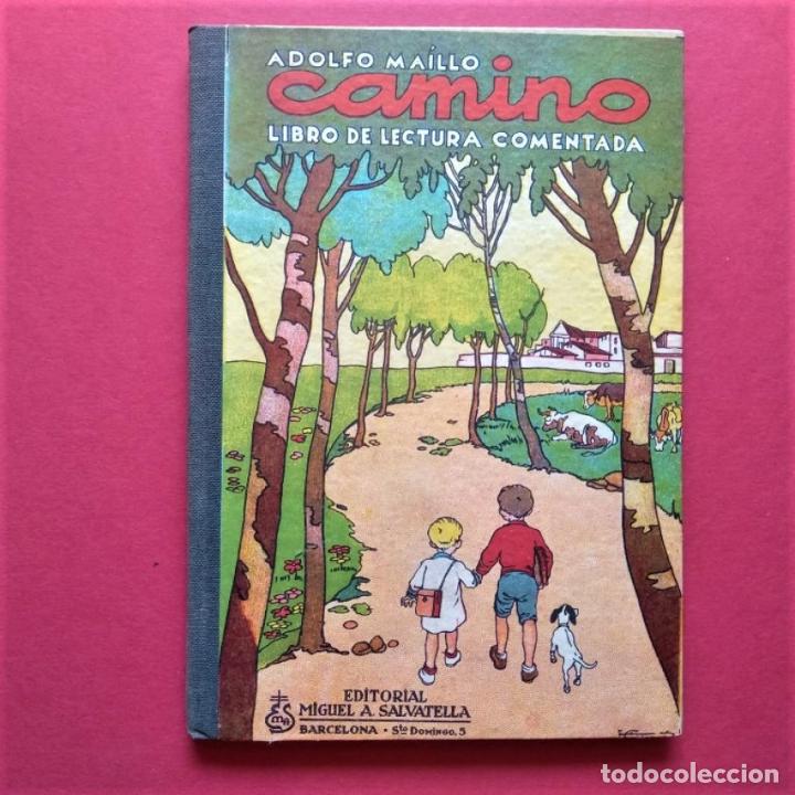 Libros: Camino. Libro de Lectura Comentada. - Maillo, Adolfo. - Foto 1