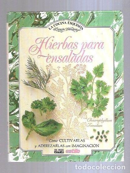 Libros: HIERBAS PARA ENSALADAS - NORMAN, JILL - Foto 5
