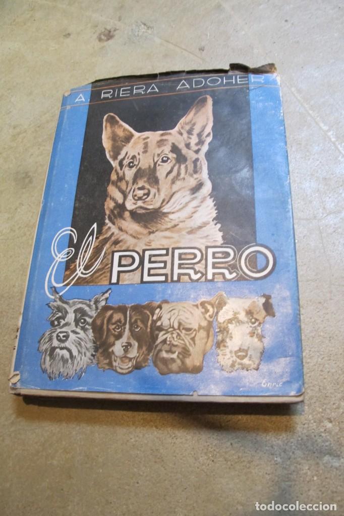 Libros: EL PERRO Y EL GATO. A. RIERA ADOHER - Foto 1