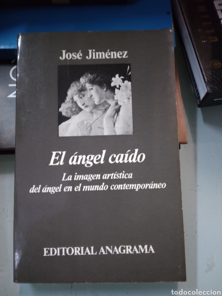 Libros: Jose Jim&eacute;nez, El angel ca&iacute;do, Anagrama - Foto 1
