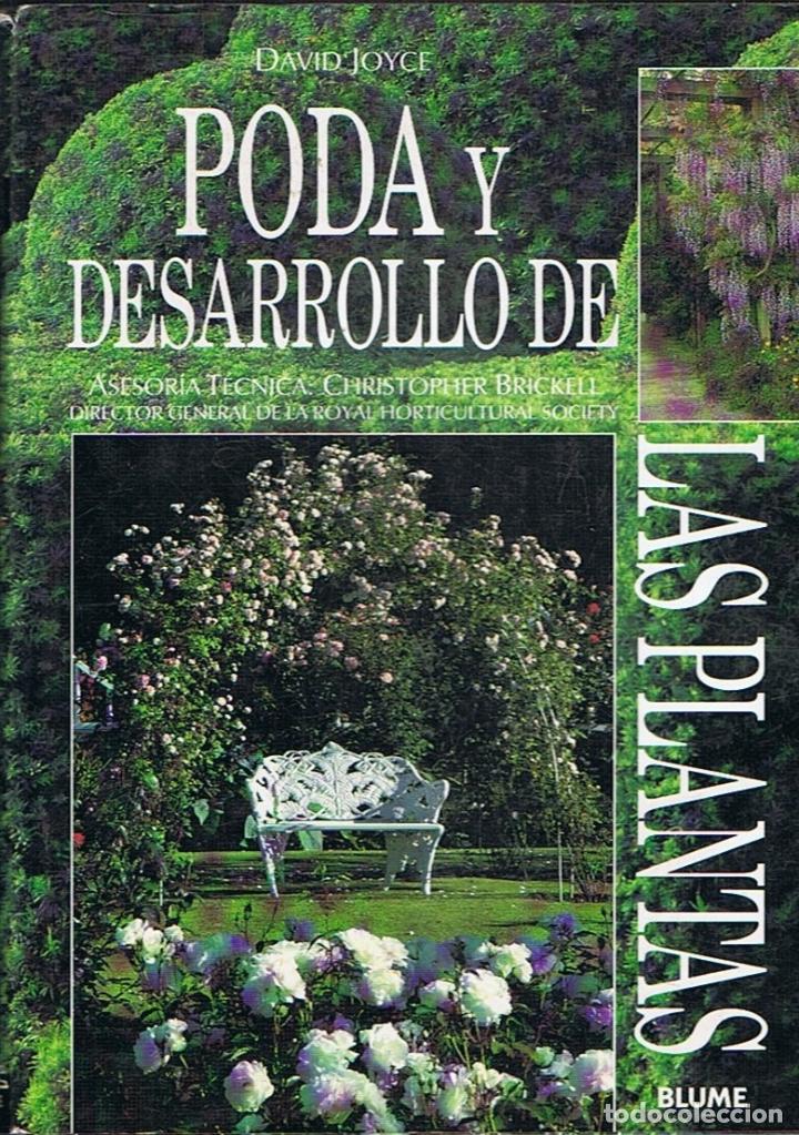 Libros: PODA Y DESARROLLO DE LAS PLANTAS. - Joyce. David, - Foto 1