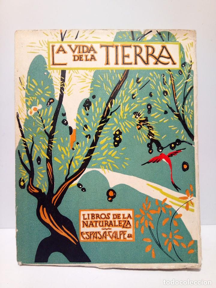 Libros: DANTIN CERECEDA, J. - La vida de la tierra - Foto 1