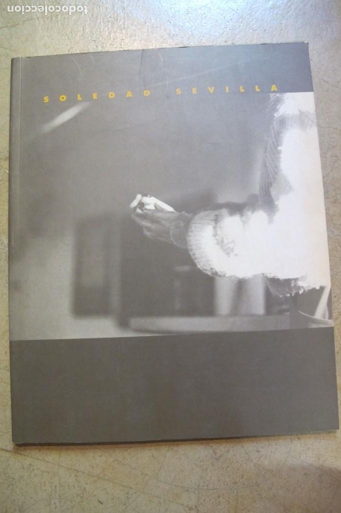 Libros: SOLEDAD SEVILLA.. GALERIA SOLEDAD LORENZO 1995 - Foto 1