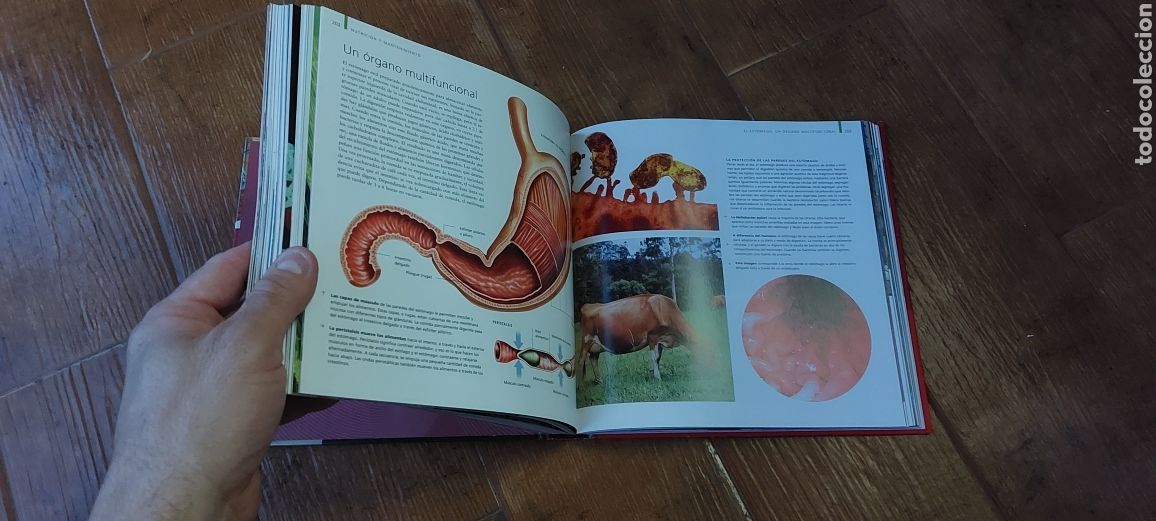 Libros: Libro Cuerpo Humano -Beverly McMillan- 1&deg; Edicion - Foto 6