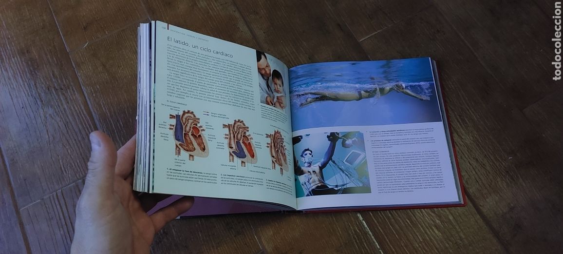 Libros: Libro Cuerpo Humano -Beverly McMillan- 1&deg; Edicion - Foto 7