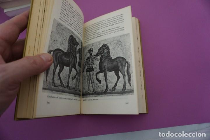 Libros: AR12CD/ LAS COSTUMBRES Y EL AMOR EN LA ANTIGUA ROMA - HERBERT LEWANDOWSKI - Foto 3
