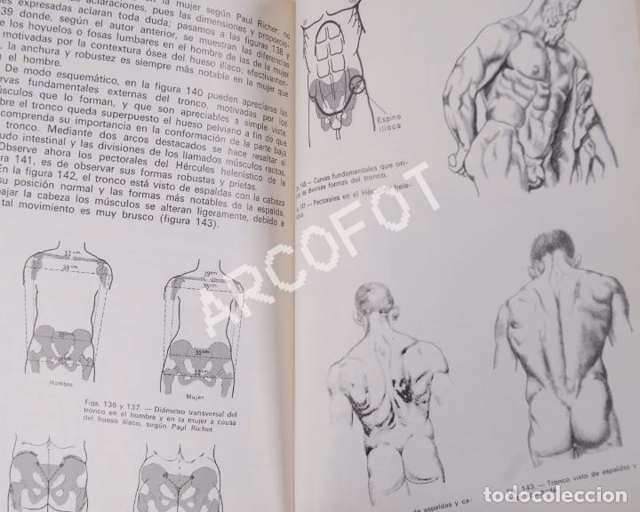 Libros: DIBUJANDO LA FIGURA HUMANA - A. CALDER&Oacute;N - EDICIONES CEAC 1981 - Foto 3