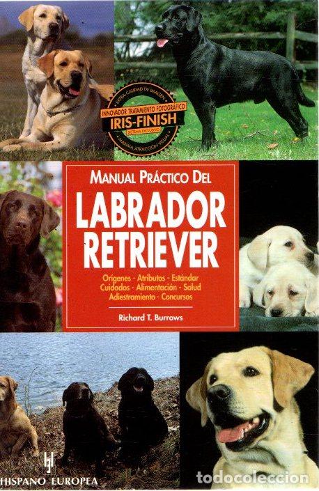 Libros: Manual pr&aacute;ctico del labrador retriever - Burrows, Richard T. - Foto 1