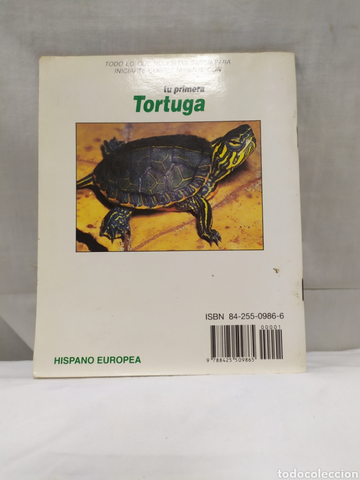 Libros: Tu primera tortuga de Ed. Hispano Europea - Foto 2